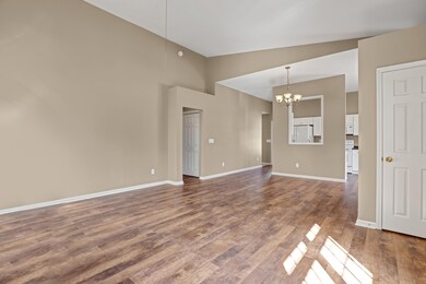 2611SaplingCircle-4
