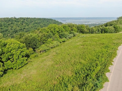 Lot 12 Runningen Ct, Stoddard, WI 54658 - photo 6