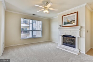 Bryson At Woodland Park unit 307, Herndon, VA 20171 - photo 5