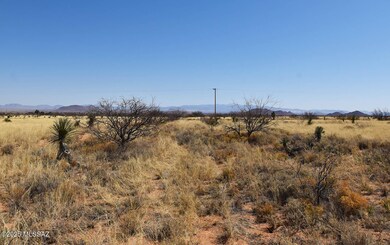 1 Lot March St unit 13, Pearce, AZ 85625 - photo 6