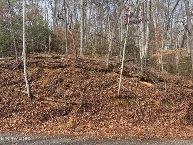 Par 202.03 Autumn Ln, Gatlinburg, TN 37738 - photo 3