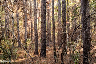 0 Lake View Golf Course Rd unit 4132339, Meridian, MS 39301 - photo 4