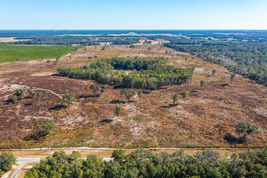 0 SW 282nd St, Newberry, FL 32669 - photo 5