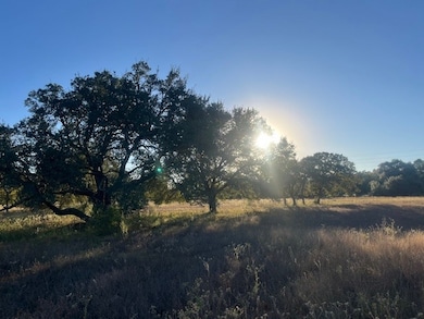 1311-B Alleyton Rd, Columbus, TX 78934 - photo 3