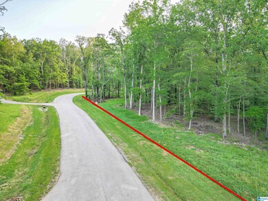 500 Parsons Way, Birmingham, AL 35242 - photo 5