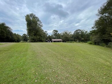 Large Front yard