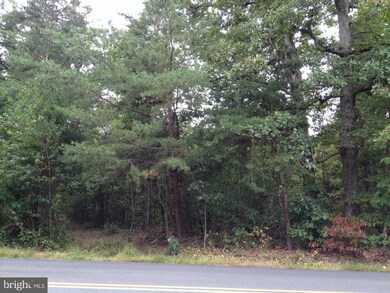 8136 Lawyers Rd, Spotsylvania, VA 22551 - photo 6