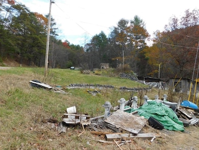 290 Angels Pass Dr, Bastian, VA 24314 - photo 6