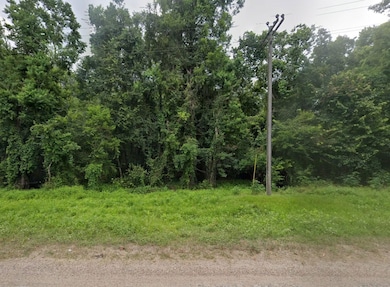 County Road 2506, Liberty, TX 77575 - photo 3