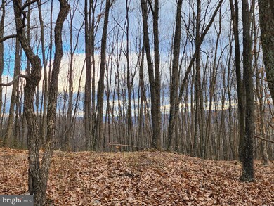 LOT-11 Deer Run Rd, Baker, WV 26801 - photo 3