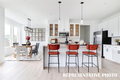 We specialize in building the kitchen of your drea