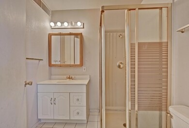 Guest Bath with walk-in shower