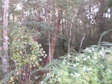 4000 Calico Dr, Cantonment, FL 32533 - photo 4