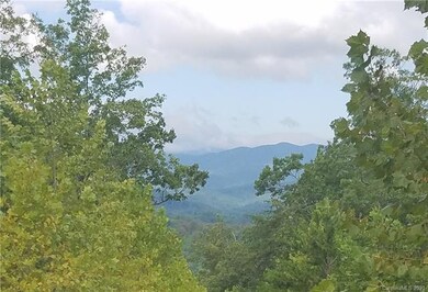 3 Dobsons Knob Loop Rd unit 3-12, and 53-57, North Cove, NC 28752 - photo 4