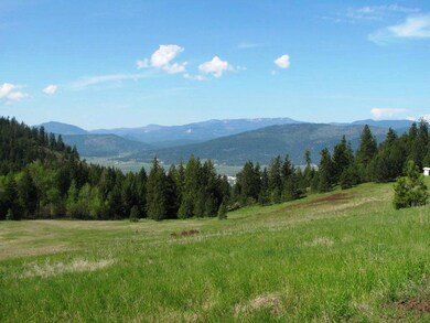 2599 Mud Lake Rd, Chewelah, WA 99109 - photo 3