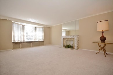 Sunny and large living room will  be a gathering a