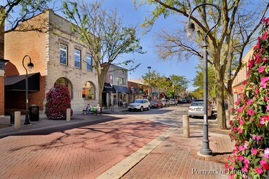 839 N Brainard St, Naperville, IL 60563 - photo 4