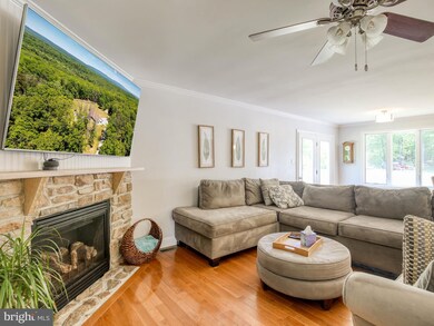 959 Adams Rd, Winchester, VA 22603 - photo 6