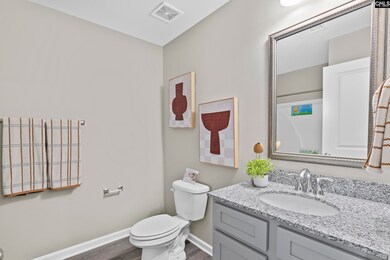 817 Cattle Egret Ln, Hopkins, SC 29061 - photo 7