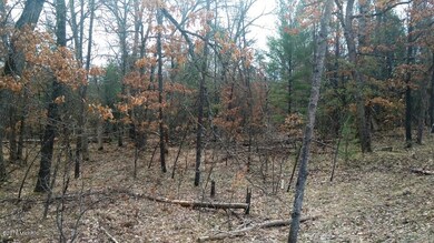 VL Par B S Peacock Trail, Baldwin, MI 49304 - photo 2