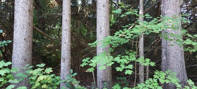 View from Road