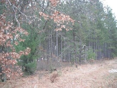 28747 Eastman Rd, Danbury, WI 54830 - photo 4