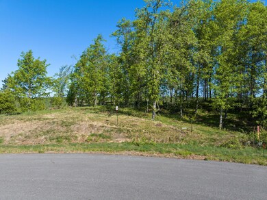 Lot 15 .58 Acres 164 Tom Lehman Dr, First Assessment, MN 56401 - photo 4