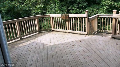 13534 Smallwood Ln, Chantilly, VA 20151 - photo 3