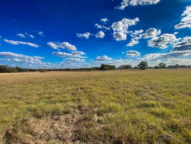 00 Lcr 890, Jewett, TX 75846 - photo 6