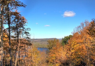 Lot 5 706th St, Pepin Township, MN 55981 - photo 7