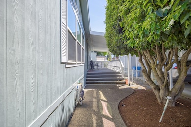 Side Yard