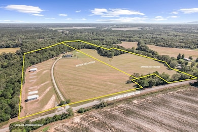 1690 Benton Store Rd, Columbia, AL 36319 - photo 3