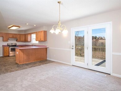 117 Michael Ct, Leicester, NC 28748 - photo 7