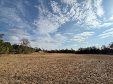 Sc Hwy 39 unit LotWP001, Williston, SC 29853 - photo 3