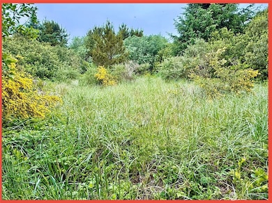 525 Sand Dune Ave SW, Ocean Shores, WA 98569 - photo 5