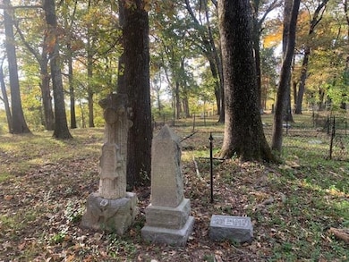 00 Raleigh Lagrange Rd, Memphis, TN 38128 - photo 4