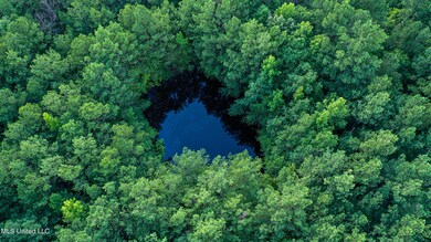 DJI_0916