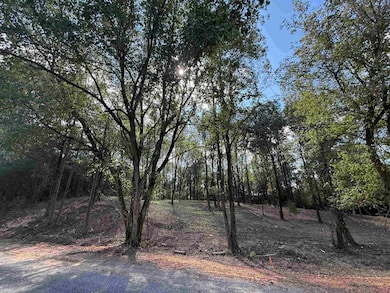 #12B County Road 1123, Vinemont, AL 35179 - photo 2