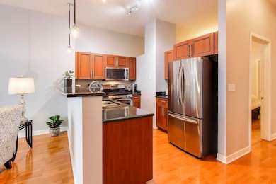 3140 N Sheffield Ave unit 504, Chicago, IL 60657 - photo 6