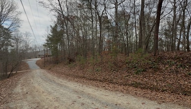 454R Joliet Dr, Ellijay, GA 30540 - photo 7