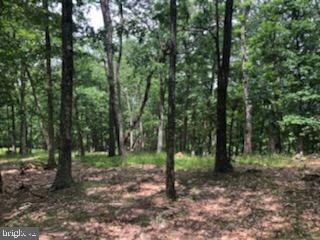 0 Scarlett Tangier Lot 11 unit WVPT101520, Franklin, WV 26807 - photo 4