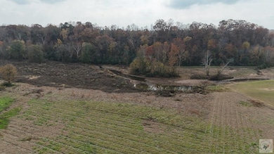 4 Harris Dr, Murfreesboro, AR 71852 - photo 3