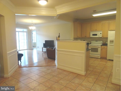 7871 Rolling Woods Ct unit 303, Springfield, VA 22152 - photo 4