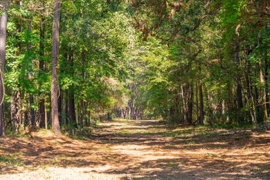 4297WildTurkeyWy-KeenEyeMarketing-019