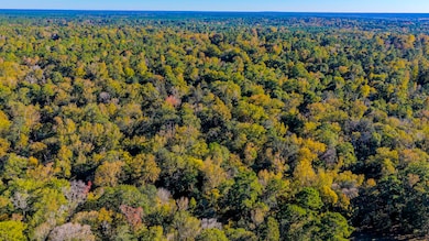 TBD2 Rolling Ridge Rd, Goodrich, TX 77335 - photo 4