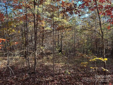 0 Rock Ledge Dr unit 339, Lake Lure, NC 28746 - photo 4