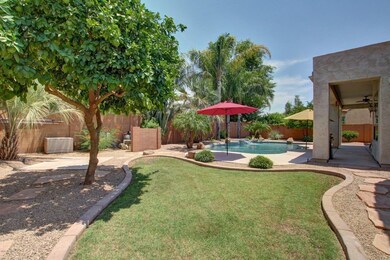 Wonderful Backyard