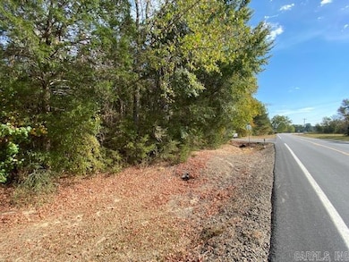 00 N Lily and Hwy 60 Hwy, Houston, AR 72070 - photo 5