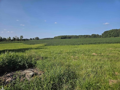 0 Fargo Vl Rd, Avoca, MI 48006 - photo 5