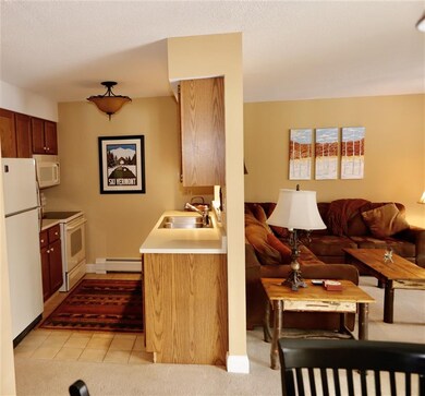 35 Pond Rd unit KB B6, Ludlow, VT 05149 - photo 3